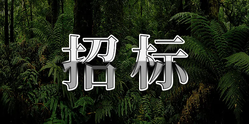 青島頤中資產(chǎn)運營有限公司2025至2026年度零星維修項目(電子招投標(biāo))招標(biāo)公告