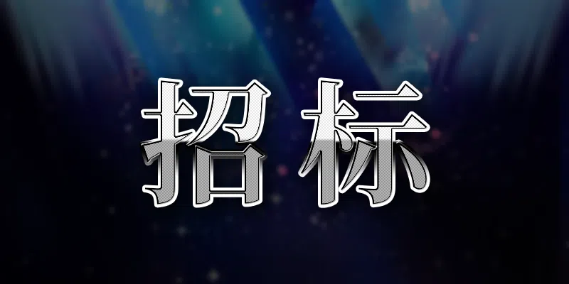 儀征法院安全域改造項目競爭性磋商采購公告