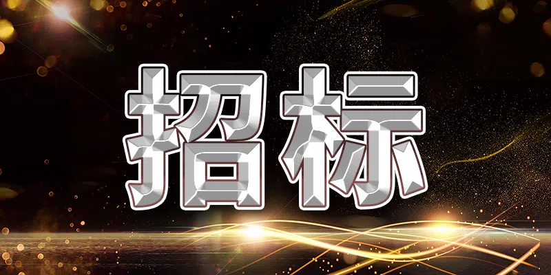 2024年磴口縣中央預(yù)算內(nèi)高標(biāo)準(zhǔn)農(nóng)田建設(shè)項(xiàng)目補(bǔ)充設(shè)計(jì)招標(biāo)公告