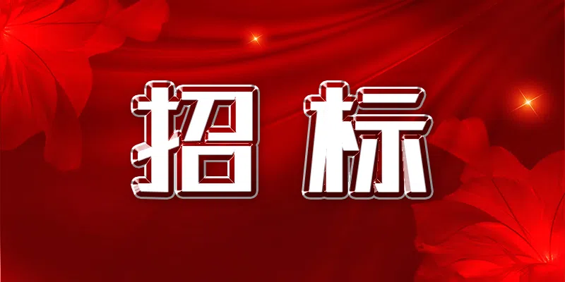 漣源市白馬水庫除險加固工程信息化標段招標公告