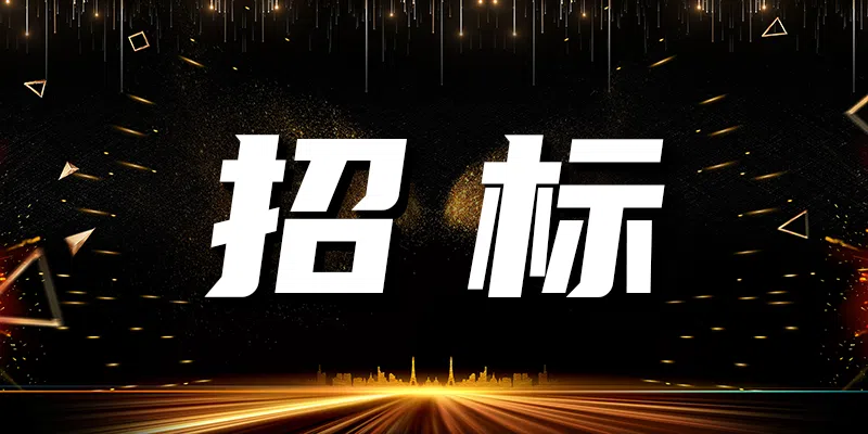 中國鐵塔益陽市分公司2024年室內(nèi)分布系統(tǒng)代維服務項目比選公告