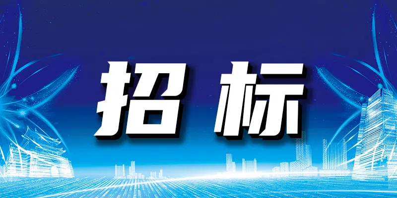 國(guó)家電投集團(tuán)河北電力有限公司(雄安公司)二〇二四年度第二十四批集中招標(biāo)招標(biāo)公告