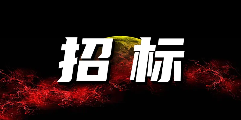 中國進出口銀行湖南省分行2024年長沙高鐵南站廣告投放項目競爭性磋商公告