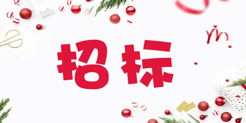 中國電信股份有限公司黃岡分公司電腦、電梯維保項目(二次)(標段二)