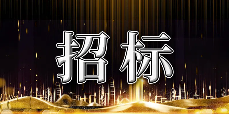 濱州市2024年普通國省道公路路面技術(shù)檢測服務(wù)競爭性磋商公告