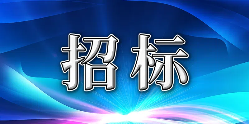 國家電投集團內(nèi)蒙古能源有限公司二〇二四年度第一百二十三批集中招標(一)招標公告