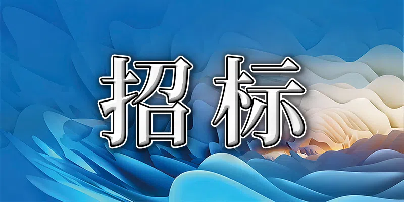 常州市城建信息設施建設有限公司智能電子鎖井蓋及維保采購項目競爭性磋商公告